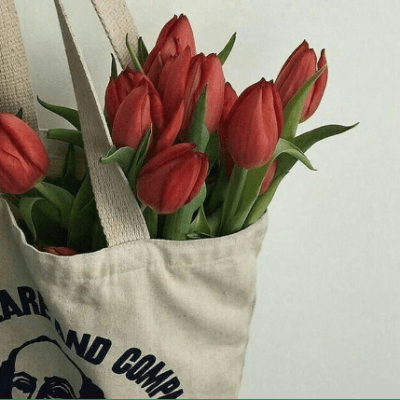 A (Ludicrously Capacious) Bag&nbsp;Tour