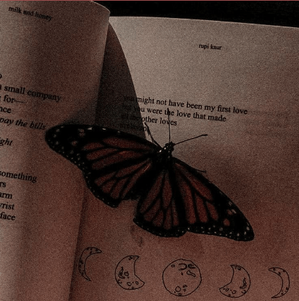 Boom, Butterfly Effect